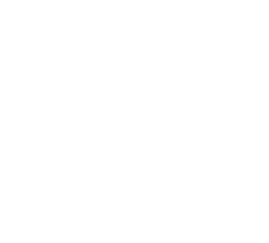 logo maison roos